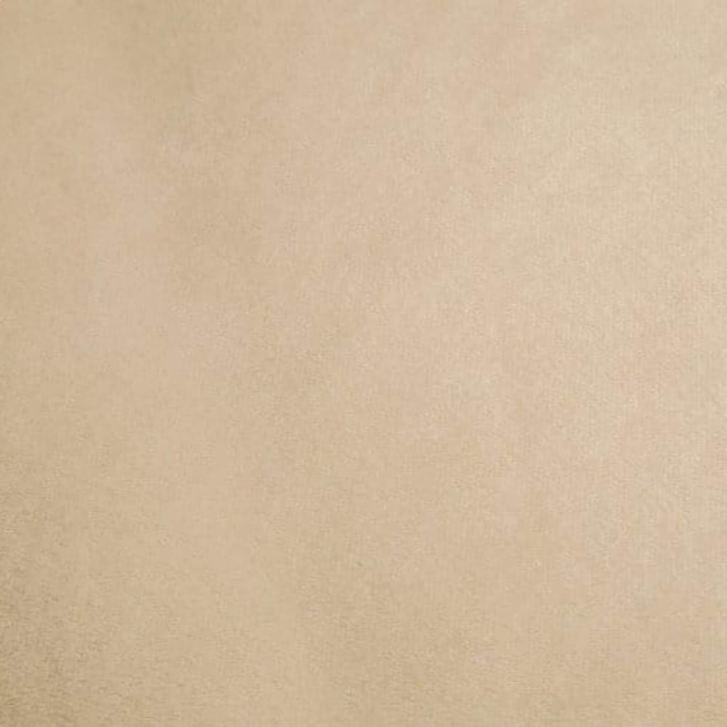 Solid Cuddle® Minky Plush Fabric - Shannon Fabrics - Latte