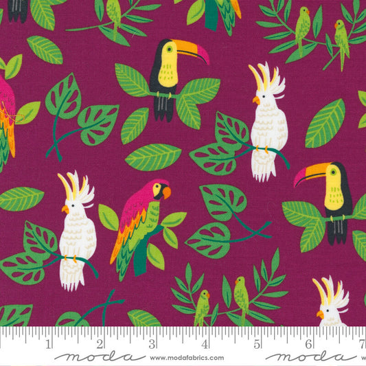 20782-17 - Jungle Paradise Fabric Range - Moda Fabrics - Purple