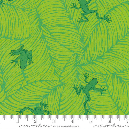 20786-19 - Jungle Paradise Fabric Range - Moda Fabrics - Green