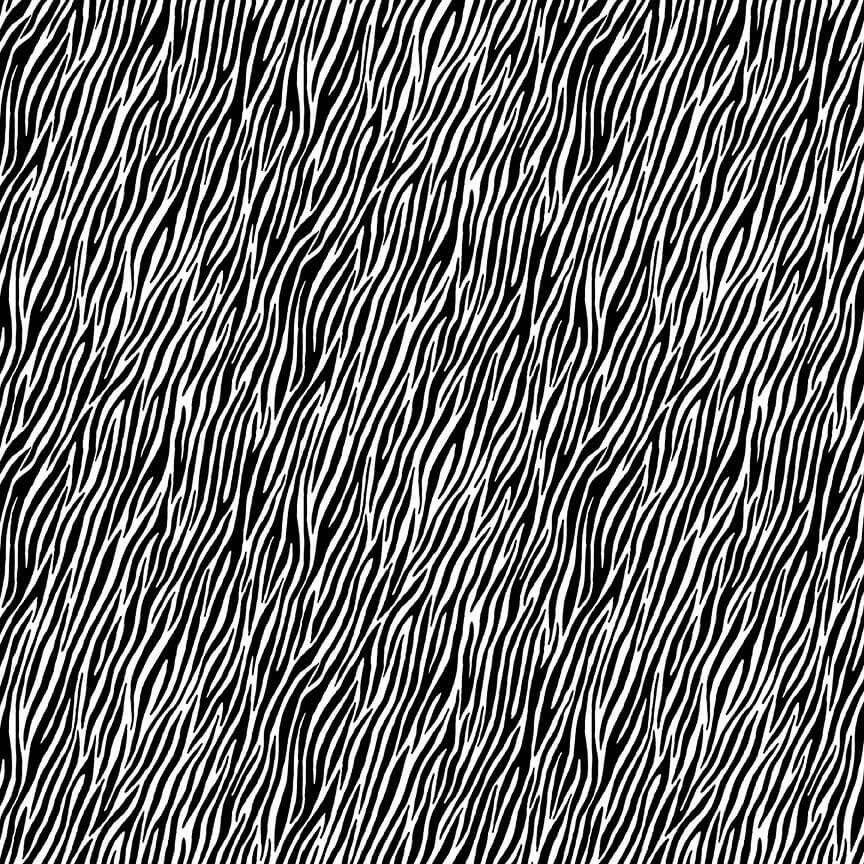 Zebra - Around The World Fabric Range - Makower - Black
