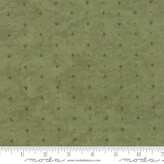 Arrows - Winter White Fabric Range - Moda Fabrics - Green